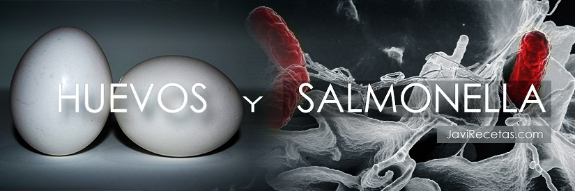 Salmonella y Huevos
