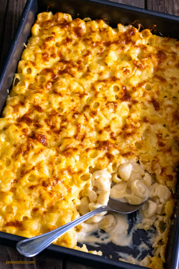 Árbol de tochi jerarquía Lo siento Macarrones con Queso - Javi Recetas